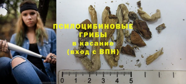 гашик Михайлов
