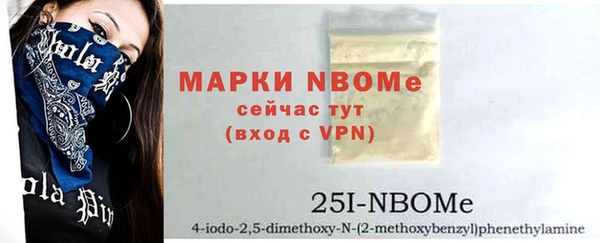 гашик Михайлов