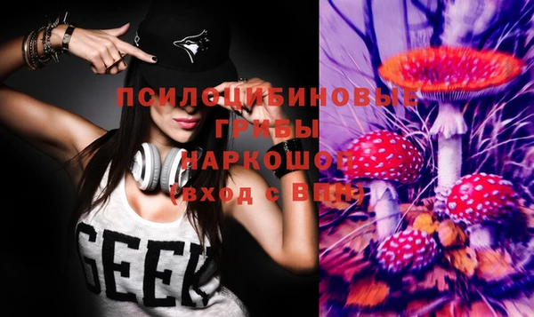 гашик Михайлов