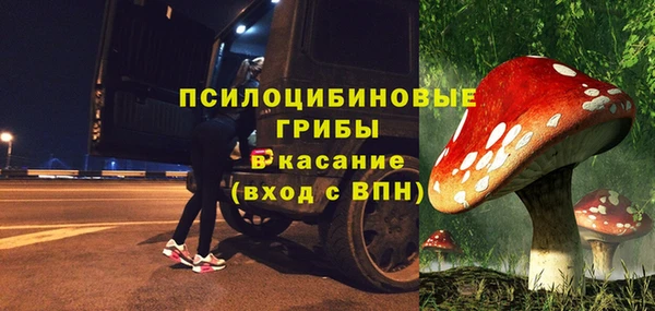 гашик Михайлов