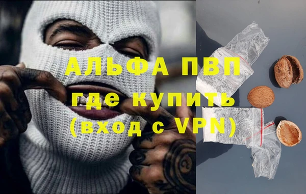 гашик Михайлов