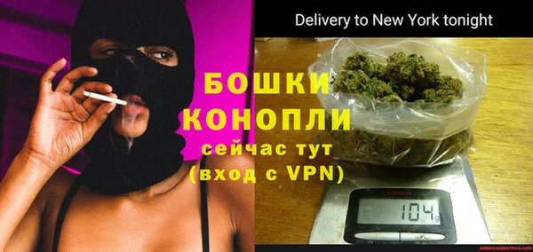 гашик Михайлов
