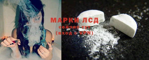 гашик Михайлов